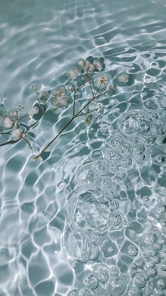 water of a pool with ripples and a branch of flowers floating